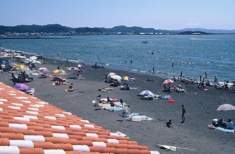 新井海水浴場 アソビュー