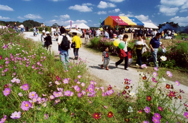 スポットの写真