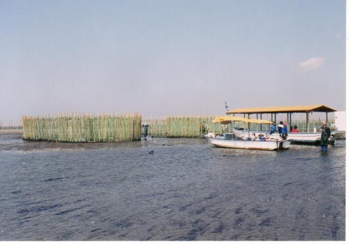 金田海岸の簀立