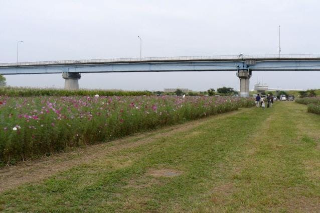 スポットの写真