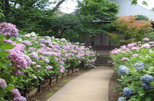 スポットの写真