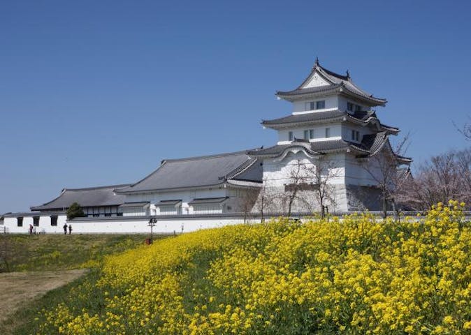 千葉県立関宿城博物館