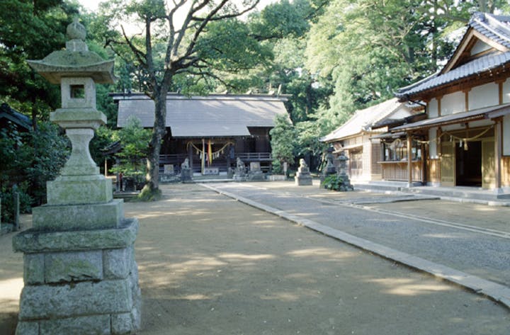 橘樹神社
