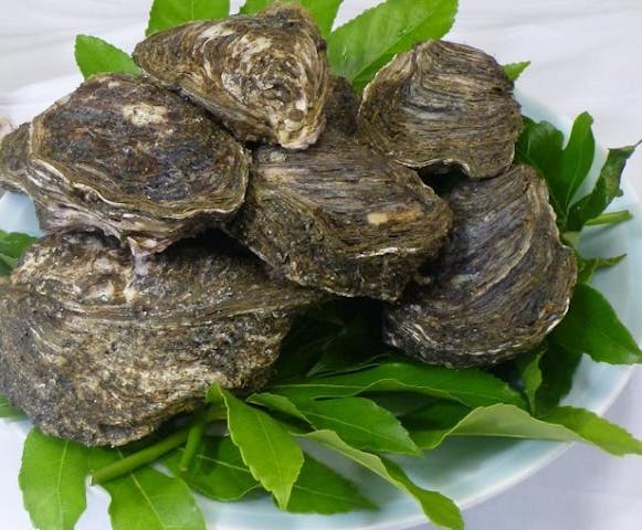 飯岡磯ガキ祭り