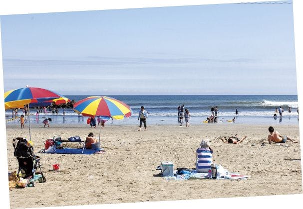 スポットの写真