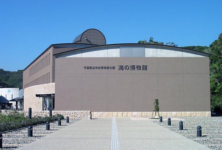 千葉県立中央博物館分館海の博物館