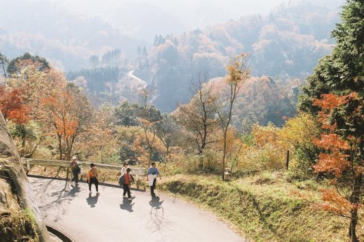 梅ヶ瀬渓谷ハイキングコース（養老渓谷内）