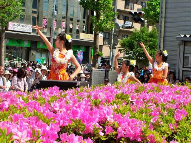 【2021年中止】八千代ゆりのき台つつじ祭り