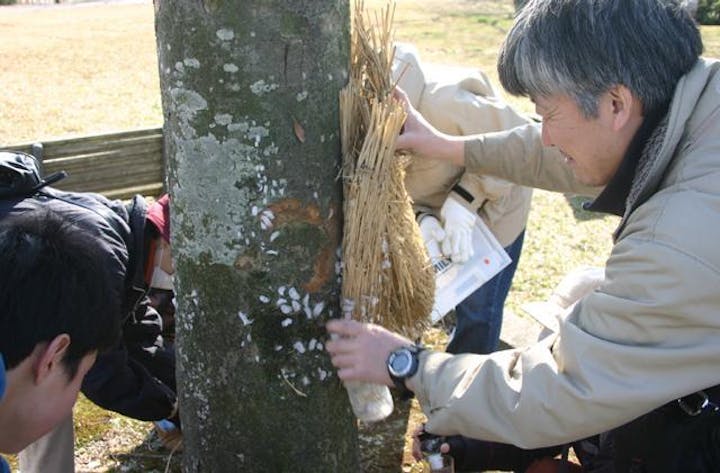 てがたん（手賀沼の自然観察会）