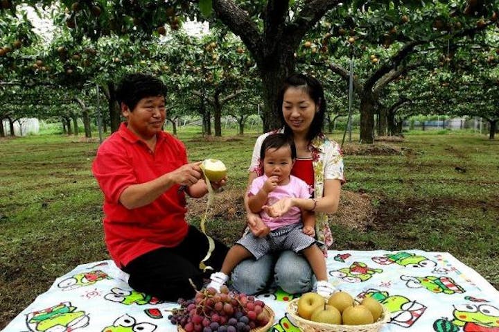 鎌ケ谷市観光農業組合