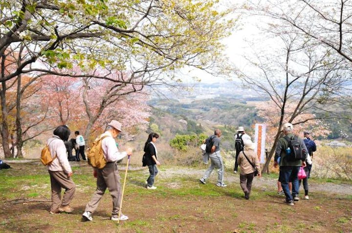 【2021年は中止】戦国の里・三舟山＆郡ダムお花見ウォーク
