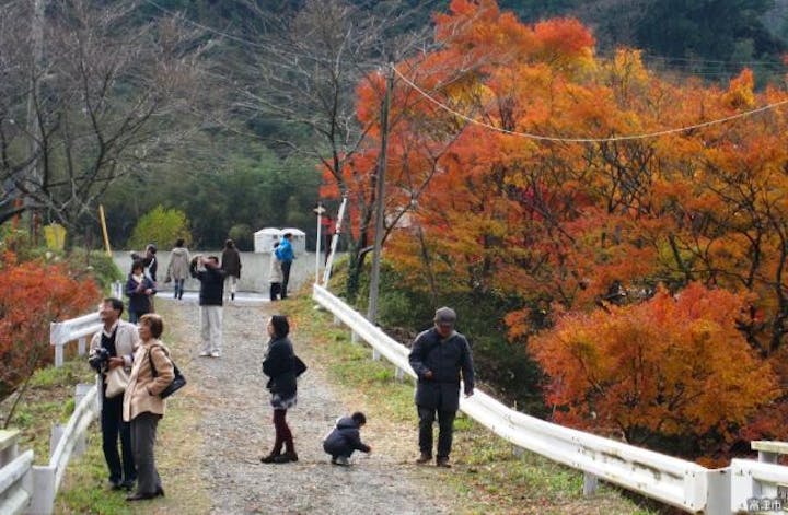 もみじロード「山中もみじまつり」