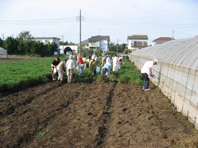 八街市観光農業協会