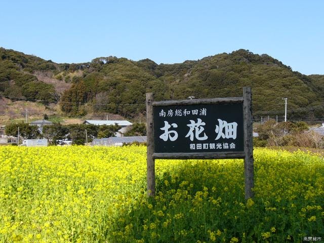 お花畑花園