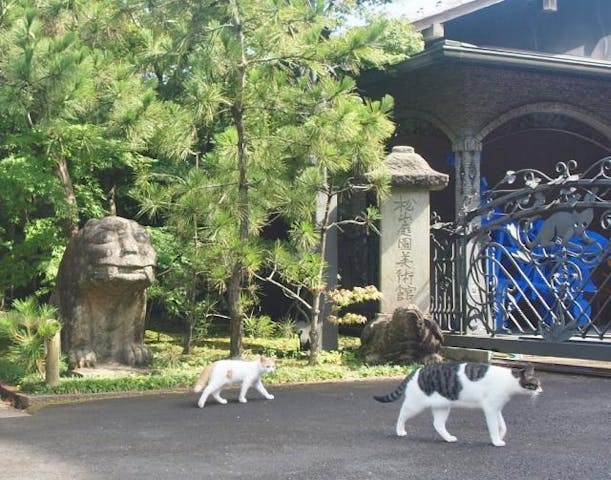 松山庭園美術館 アソビュー