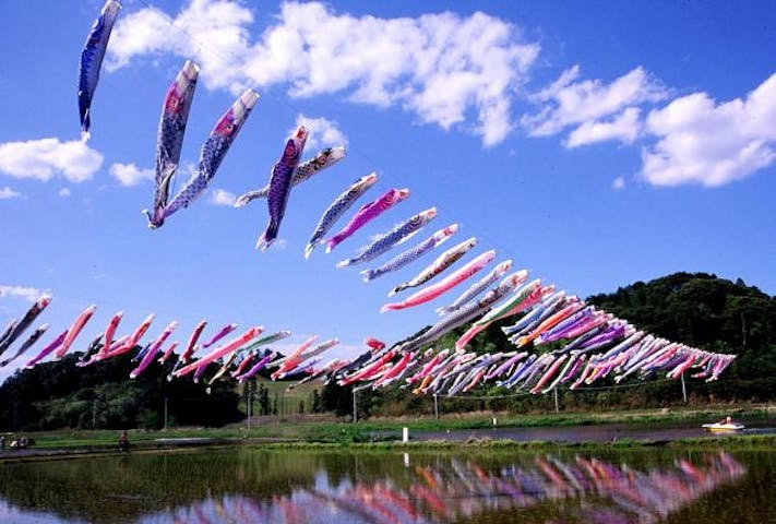 いきいき山田鯉のぼりまつり