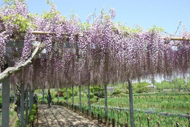 スポットの写真