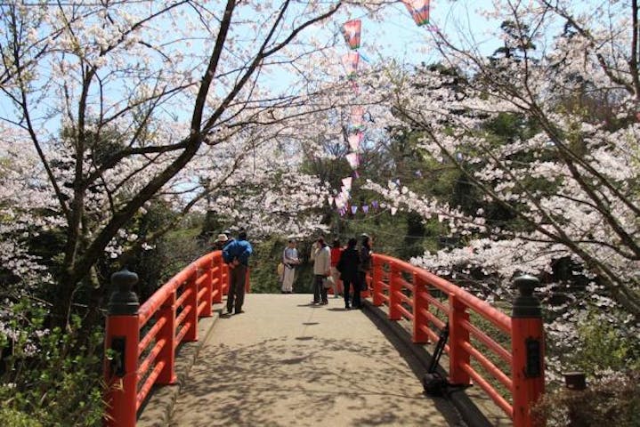 水郷おみがわ桜つつじまつり