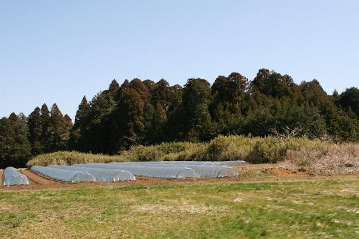 蕪木5号墳（蕪木古墳群）