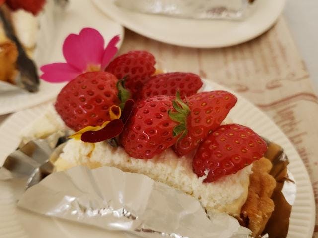 スポットの写真