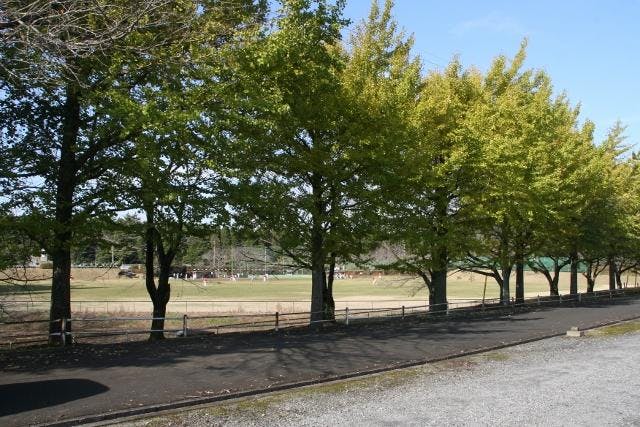 スポットの写真