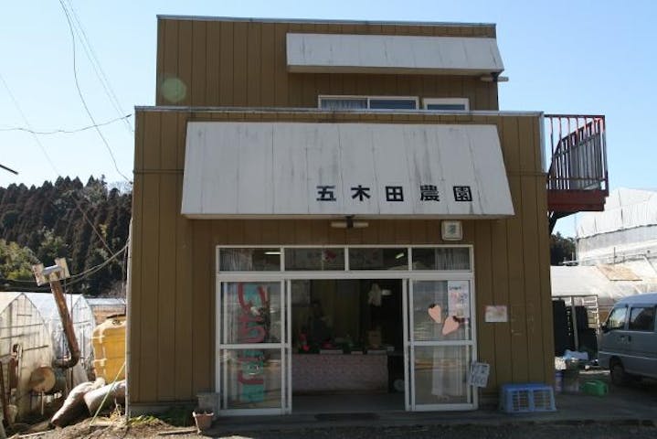 五木田観光いちご園