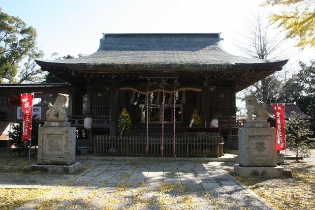 スポットの写真