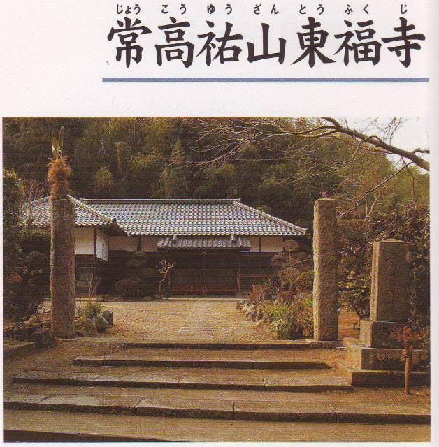 スポットの写真