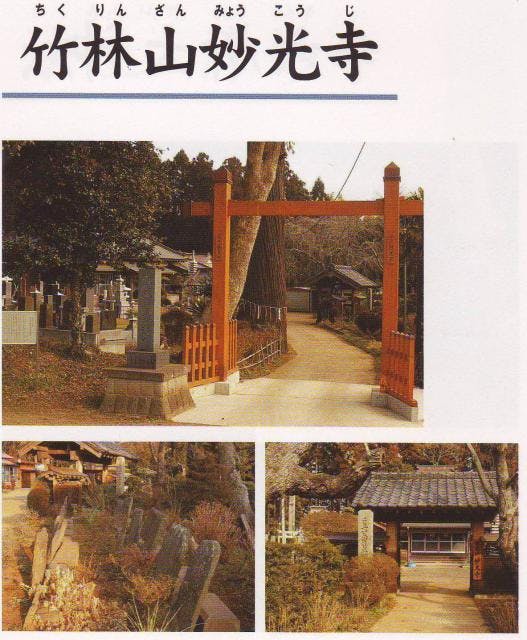 スポットの写真