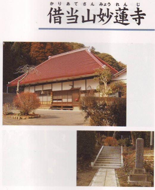 スポットの写真