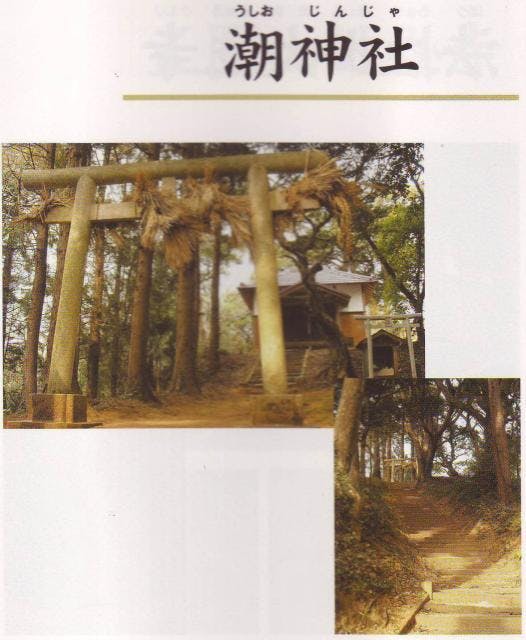 スポットの写真