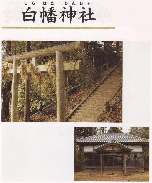 スポットの写真