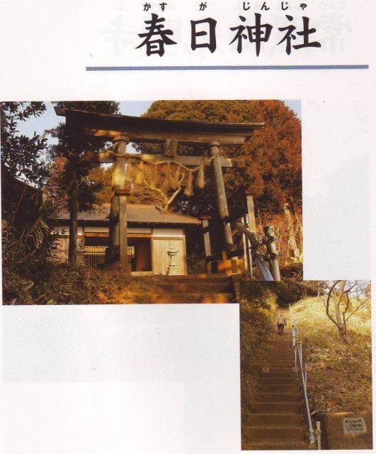 スポットの写真