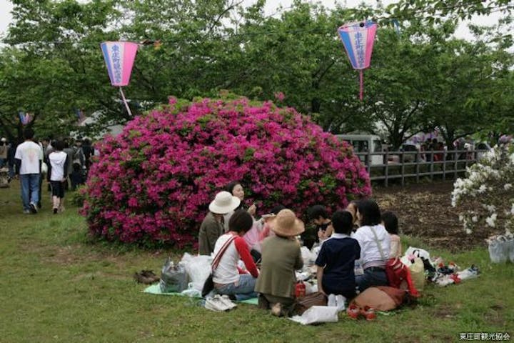 【2021年中止】雲井岬つつじまつり