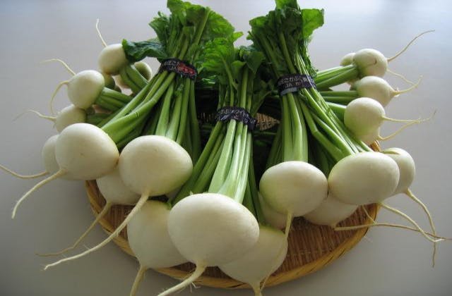 スポットの写真