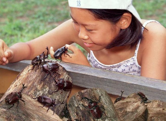 長柄町昆虫ドーム