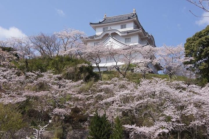 【2021年中止】大多喜さくらまつり