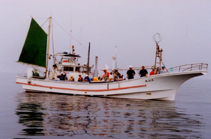 【2021年中止】きょなん町白キス沖釣り大会