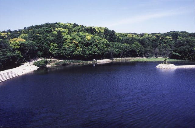 スポットの写真