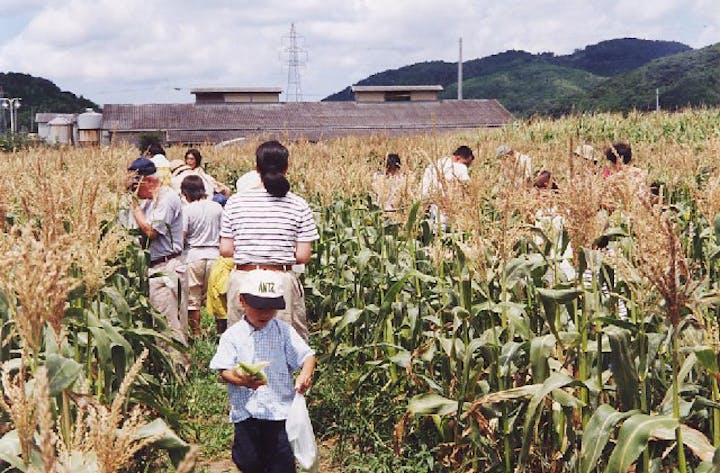 三芳村ちょっぴり農業体験
