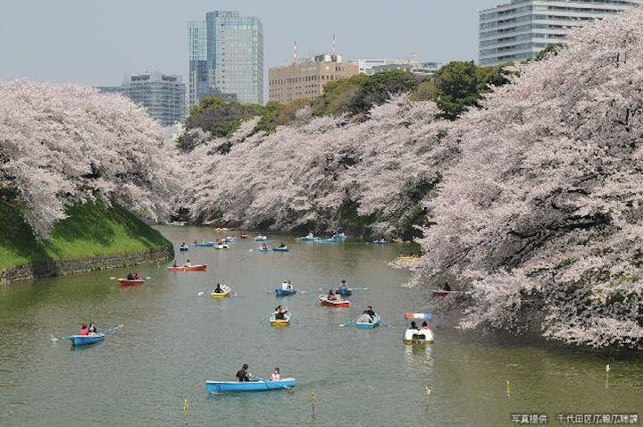 【2021年開催中止】千代田のさくらまつり