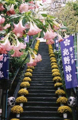 北野神社（牛天神）