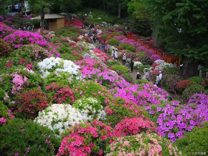 スポットの写真