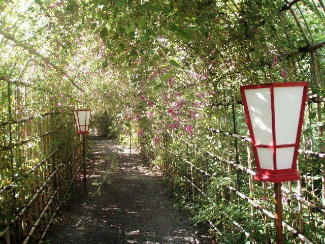 向島百花園の萩のトンネル