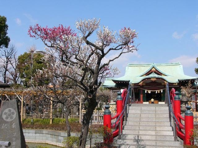 【2020年度中止】亀戸天神梅まつり