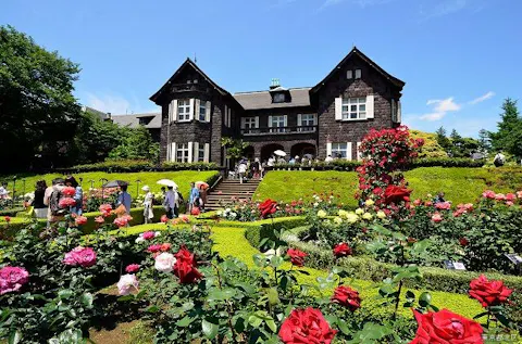 池袋 目白 板橋 赤羽 植物観察の遊び体験 アソビュー 休日の便利でお得な遊び予約サイト