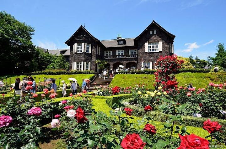 旧古河庭園のバラ