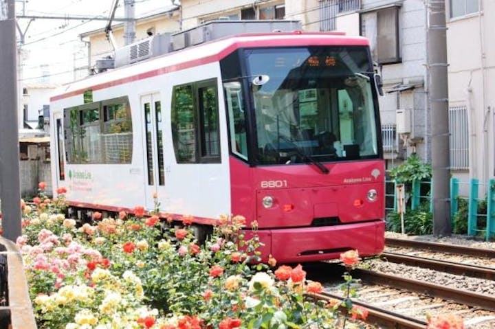 都電沿線のバラ
