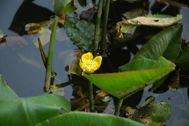 スポットの写真