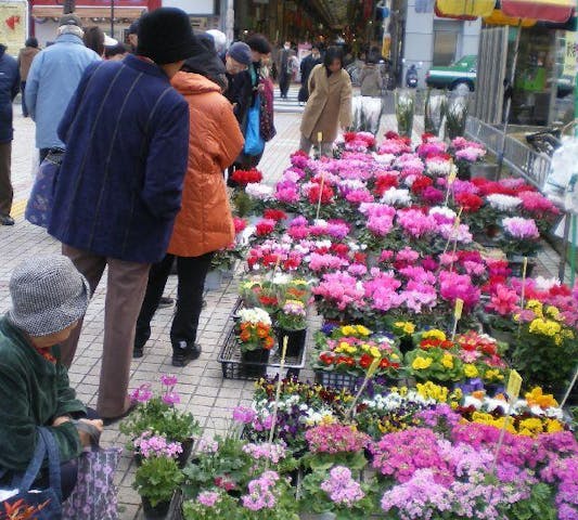 正月用　花の展示即売会
